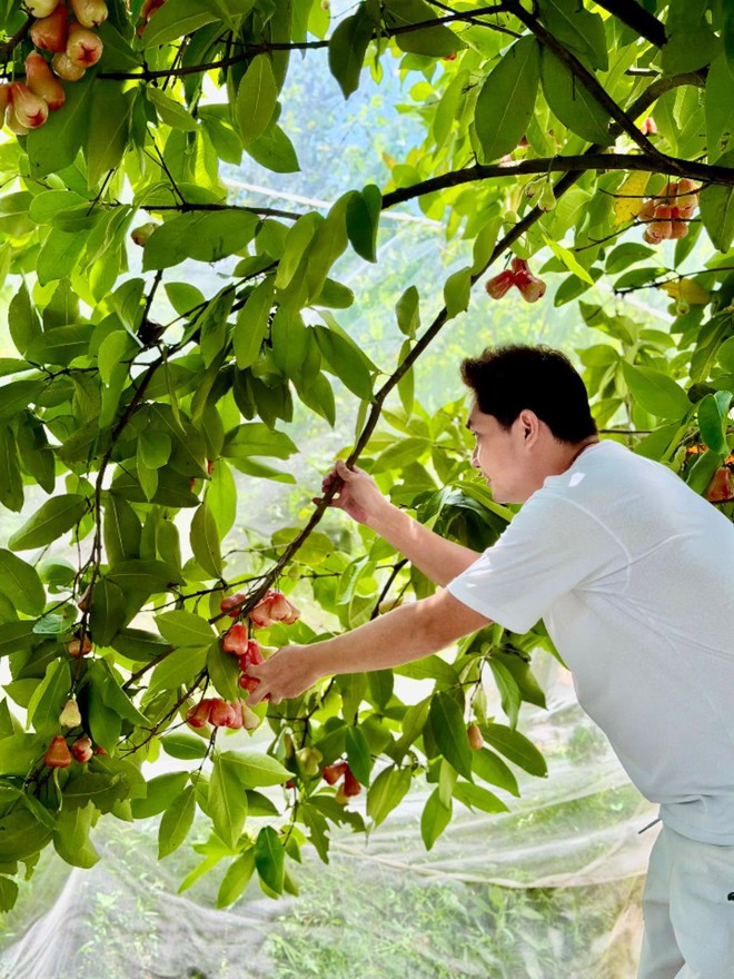 Tuổi 41 giàu có của nam nghệ sĩ vẫn "vườn không nhà trống", từng bỏ phố về quê để làm "nông dân" - Ảnh 6.