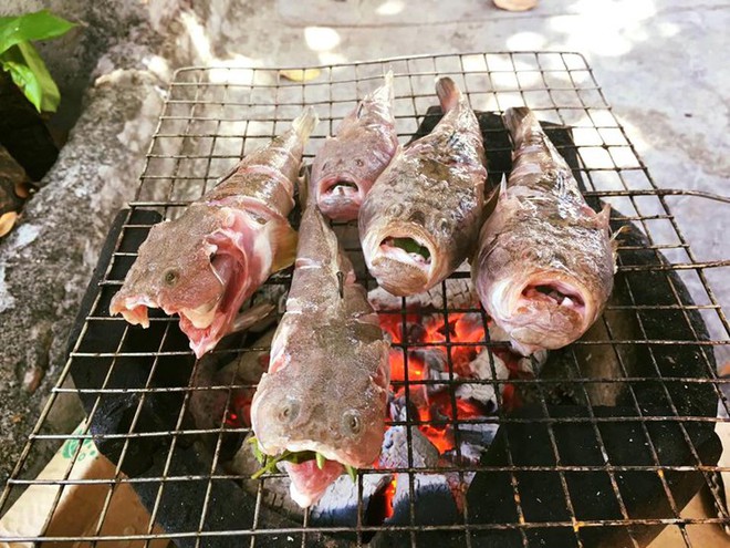 Lo&agrave;i c&aacute; c&oacute; vẻ ngo&agrave;i "gớm ghiếc" nhưng xưa lại l&agrave; đặc sản tiến vua - Ảnh 5.