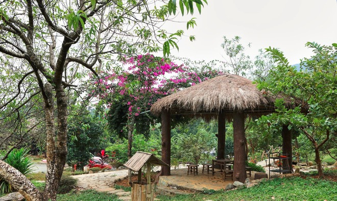 Nam NSƯT có giọng hát nội lực, trải qua đổ vỡ, U60 tận hưởng cuộc sống bình yên giữa núi đồi - Ảnh 6.
