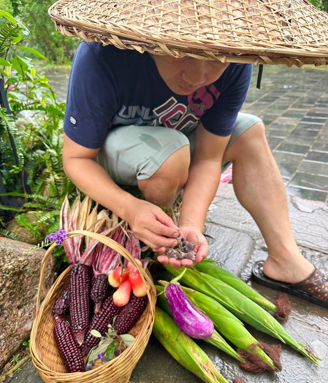 Ca sĩ Trọng Tấn khoe thành quả đặc biệt sau những ngày "làm nông dân thực thụ" - Ảnh 6.