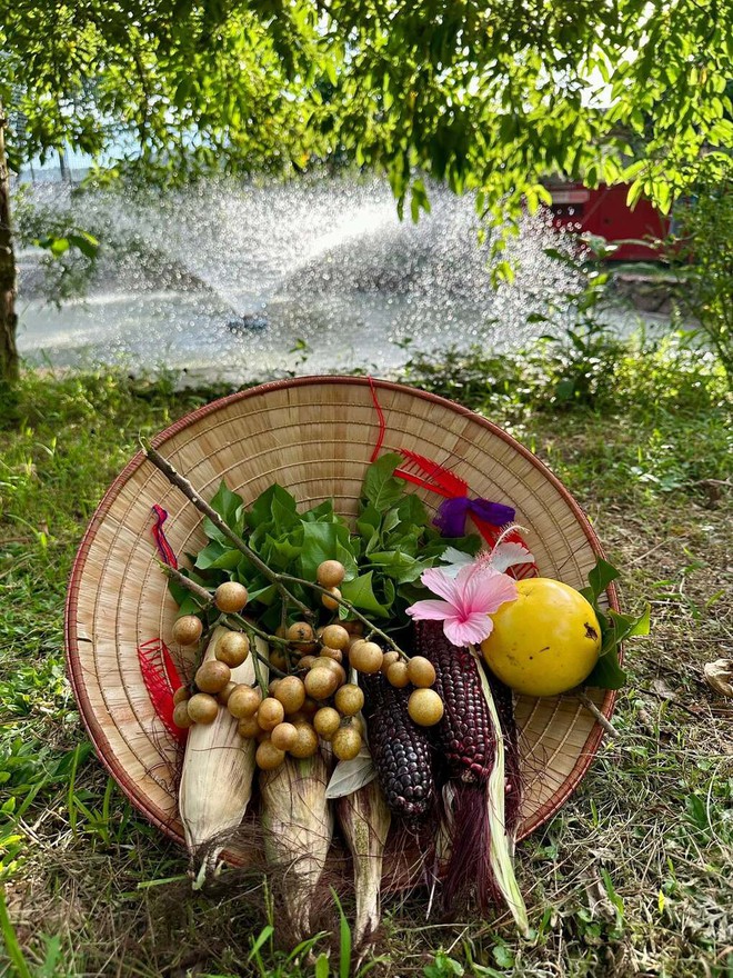 Ca sĩ Trọng Tấn khoe thành quả đặc biệt sau những ngày "làm nông dân thực thụ" - Ảnh 7.