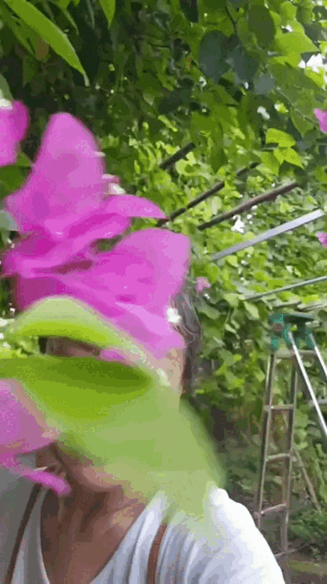 Cuộc sống điền viên bên khu vườn hàng nghìn m² xanh mát của diễn viên Tú Oanh - Ảnh 4.