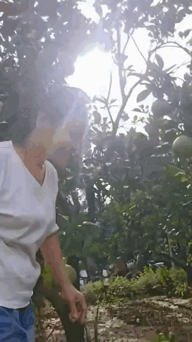 Cuộc sống điền viên bên khu vườn hàng nghìn m² xanh mát của diễn viên Tú Oanh - Ảnh 3.