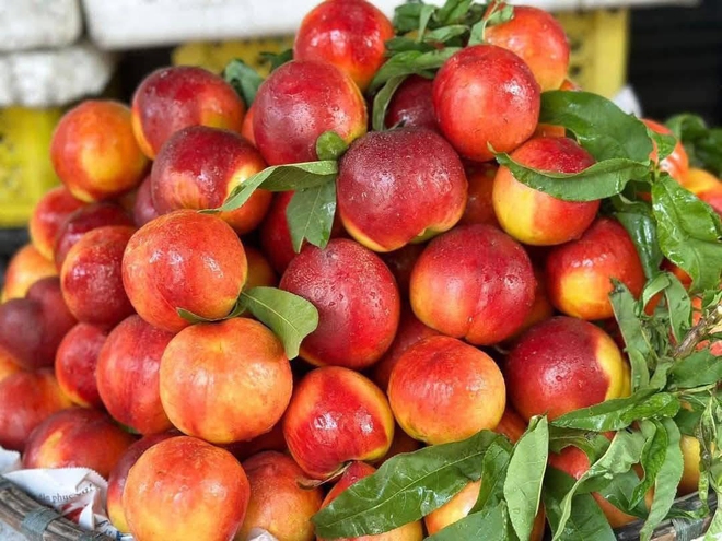 "Cực phẩm" mùa hè từ những loại trái cây vừa ngon vừa bổ - Ảnh 1.
