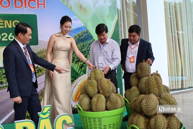 Lễ hội Sầu riêng Đắk Lắk 2026: Nữ bí thư xã, diễn viên cùng livestream bán hàng cho người dân, doanh nghiệp- Ảnh 3.