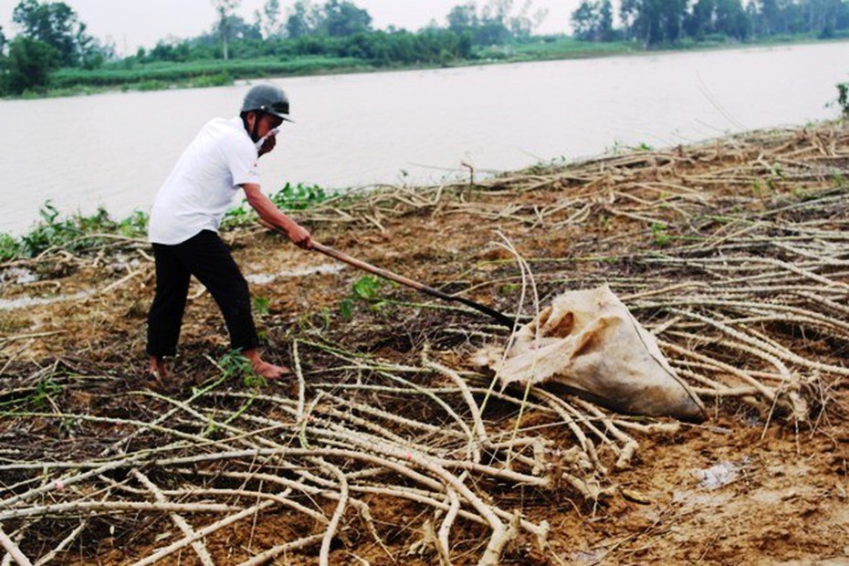 ‘Kẻ lạ mặt’ mang lợn chết vứt khắp nơi, hộ chăn nuôi lo lắng