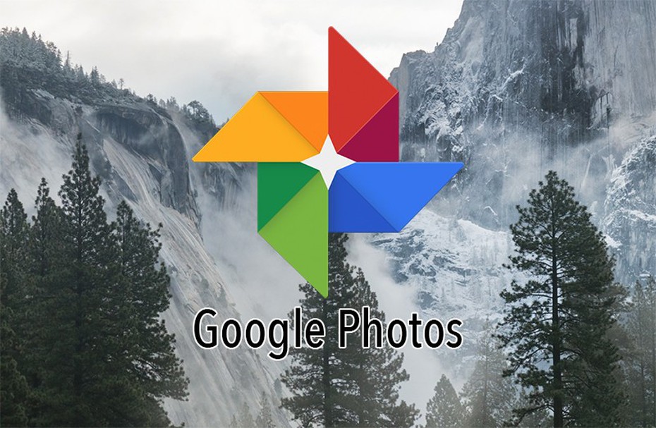 Google Photos hiển thị album ảnh trong kết quả tìm kiếm