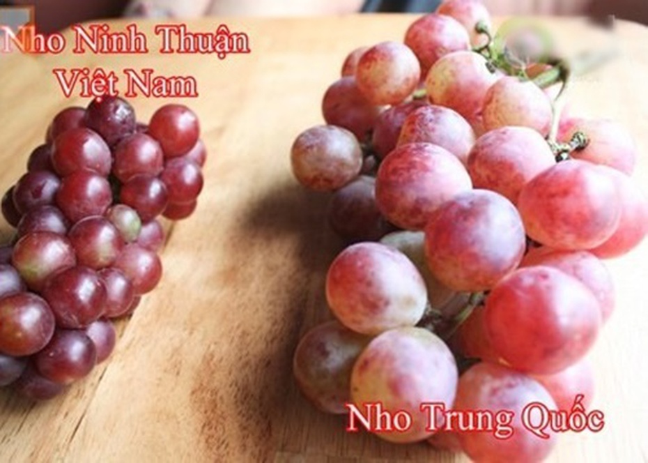 Mẹo hay phân biệt nho Việt và nho Trung Quốc, nho Mỹ