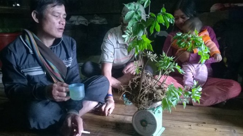 Gần cả xã miền núi Trà My là tỷ phú, có nông dân 'ôm' gia tài 250 tỷ