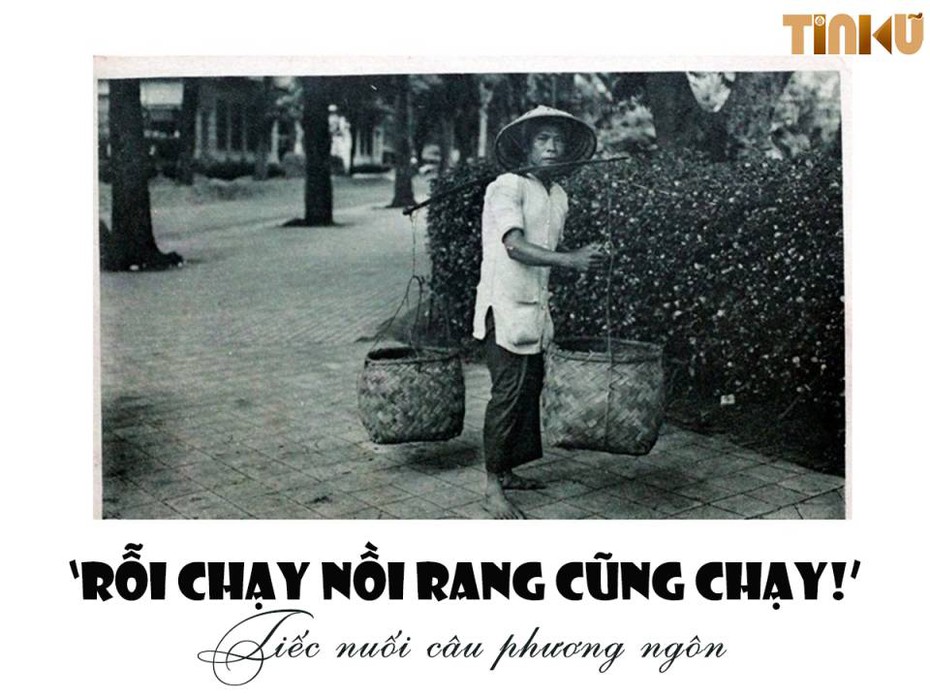 ‘Rỗi chạy nồi rang cũng chạy!’: Tiếc nuối câu phương ngôn