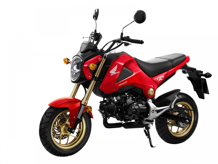 Honda MSX 125 – 'Xế cưng' cho phượt thủ