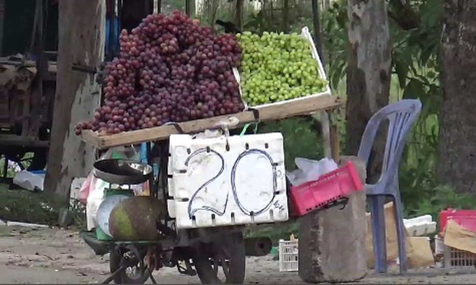 Nho 'siêu rẻ' trên phố: Người bán hàng 'tuyên bố' mua 1 kg ăn 5 lạng