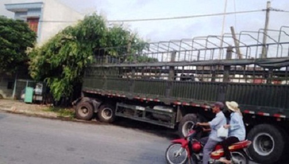Xe tải chở trâu bò đâm sập nhà dân, 3 người thương vong