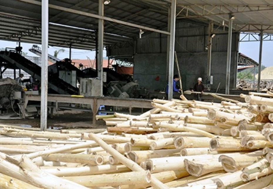 Nữ công nhân mất tích và mẫu xương lạ được phát hiện tại máy nghiền