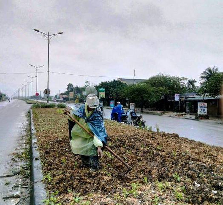 Sợ rau bẩn, người dân đua nhau ‘khai hoang’ dải phân cách