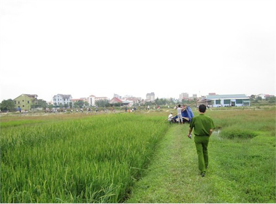 Phát hiện thi thể người đàn ông trung niên bên ruộng lúa