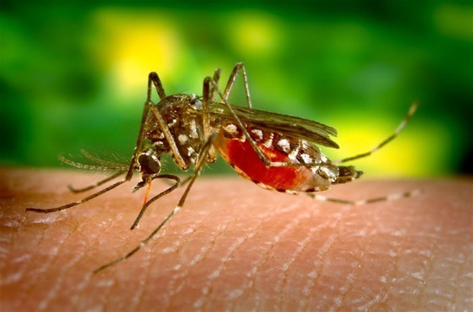 Phát hiện trường hợp nhiễm Zika thứ 7 tại Đồng Nai