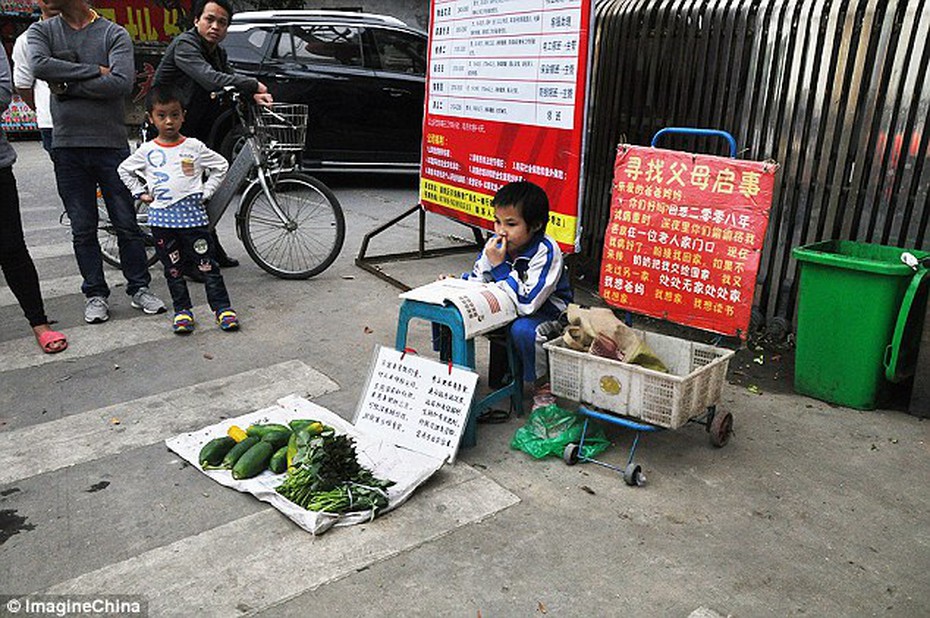 Cảm động bức tâm thư tìm cha mẹ của bé gái TQ mồ côi đi bán rau