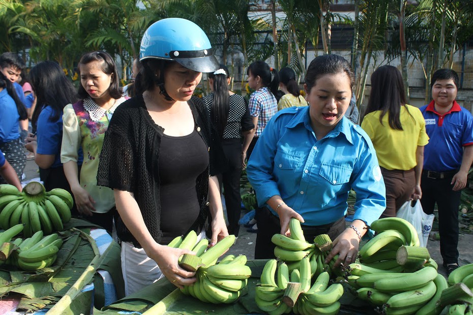 Đồng Nai: Nông dân phấn khởi khi giá chuối tăng trở lại