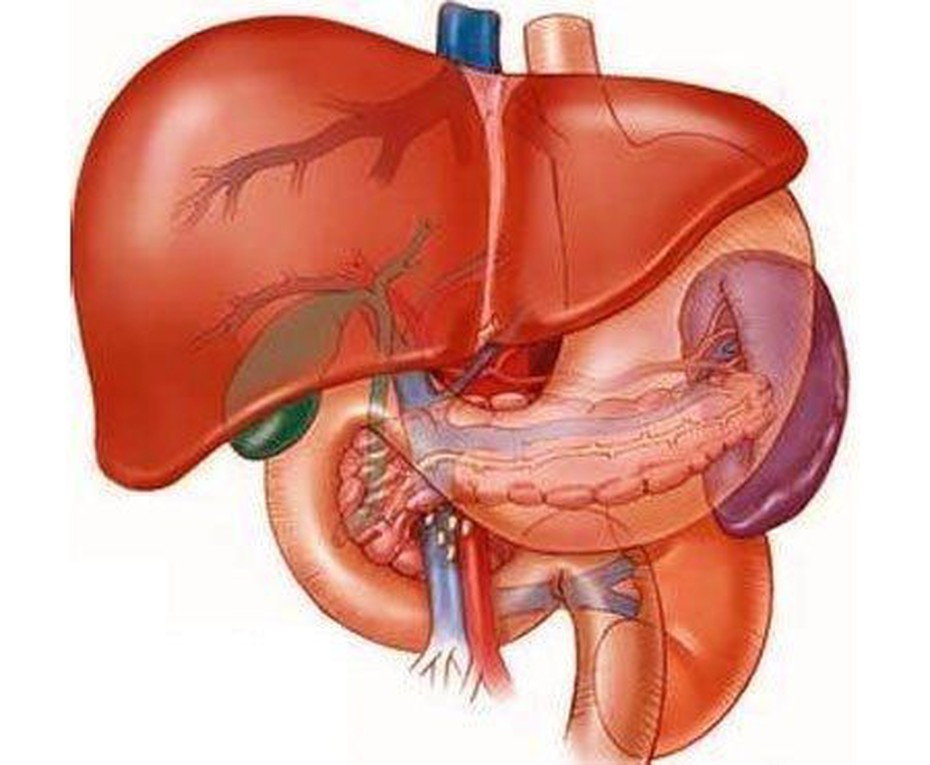 Bệnh gan nhiễm mỡ và những điều cần biết