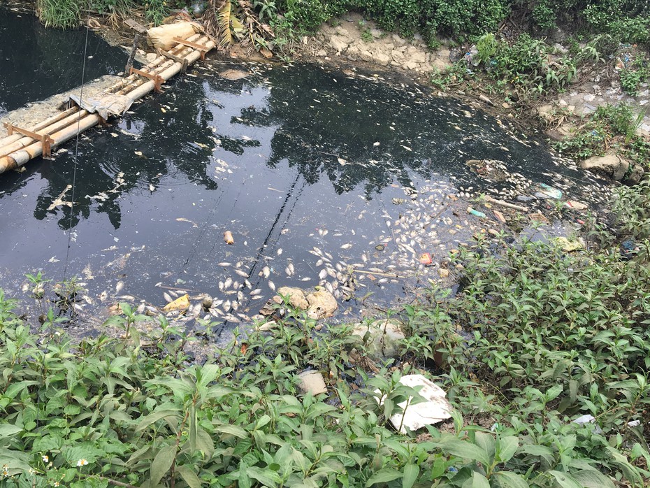 Hải Dương: Dân “kêu cứu” vì ô nhiễm môi trường tại Bình Giang