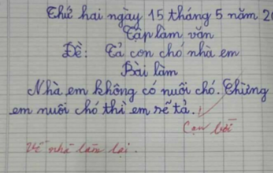 Bài văn của học sinh khiến cô giáo phê ‘cạn lời’