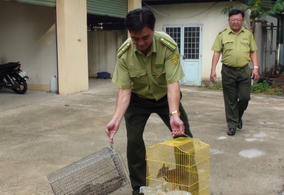 Đồng Nai: 'Cứu' kịp thời bốn cá thể động vật quý hiếm