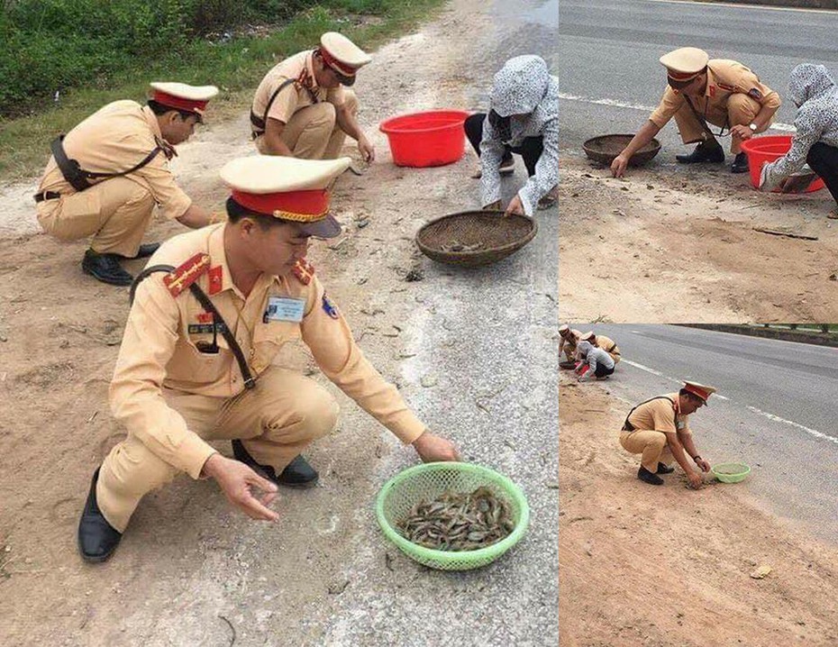 Cộng đồng mạng khen ngợi hành động CSGT giúp người phụ nữ nhặt tôm