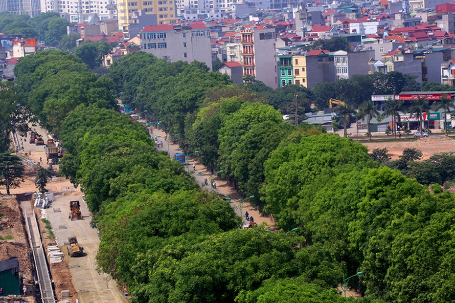 Chặt hạ 1.300 cây xanh: Chuyên gia nói 'đau' cũng phải làm