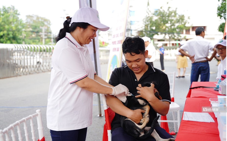 Bình Thuận: 9 người tử vong vì bệnh dại trong 10 tháng đầu năm 2024