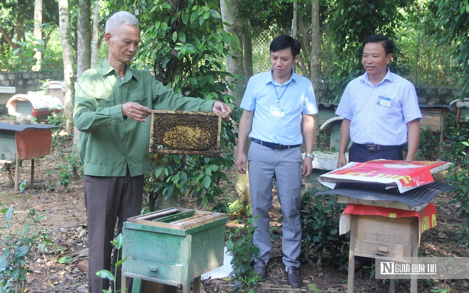 Nuôi ong lấy mật giúp nông dân miền núi thoát nghèo