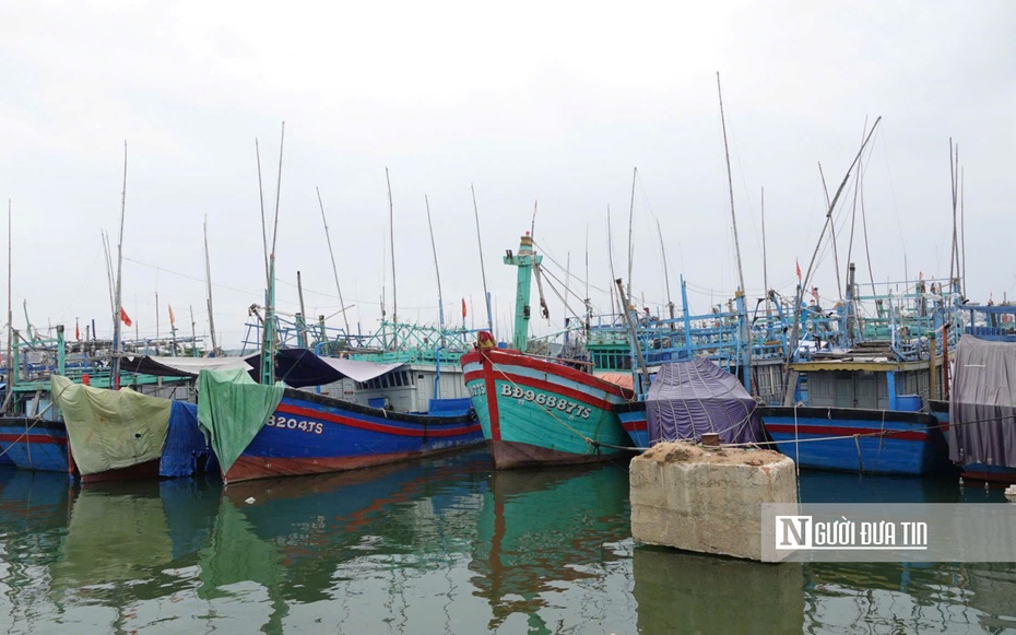 Bình Định, Quảng Ngãi lên phương án ứng phó với bão số 6