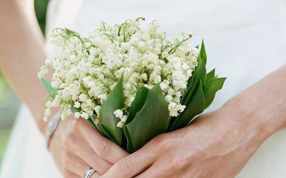 Loại hoa mọc dại ven đường, nằm trong top đắt nhất thế giới - Hoa cưới khiến nhiều cô dâu mê mẩn