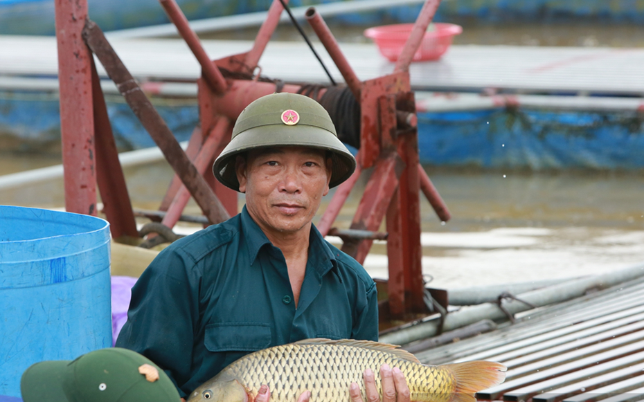 Từ đôi bàn tay trắng, ông nông dân bỏ túi 10 tỷ đồng/năm nhờ nuôi con "hiền lành, mắn đẻ"