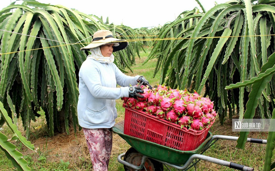 Lãnh đạo tỉnh Bình Thuận đối thoại với cán bộ, hội viên, nông dân