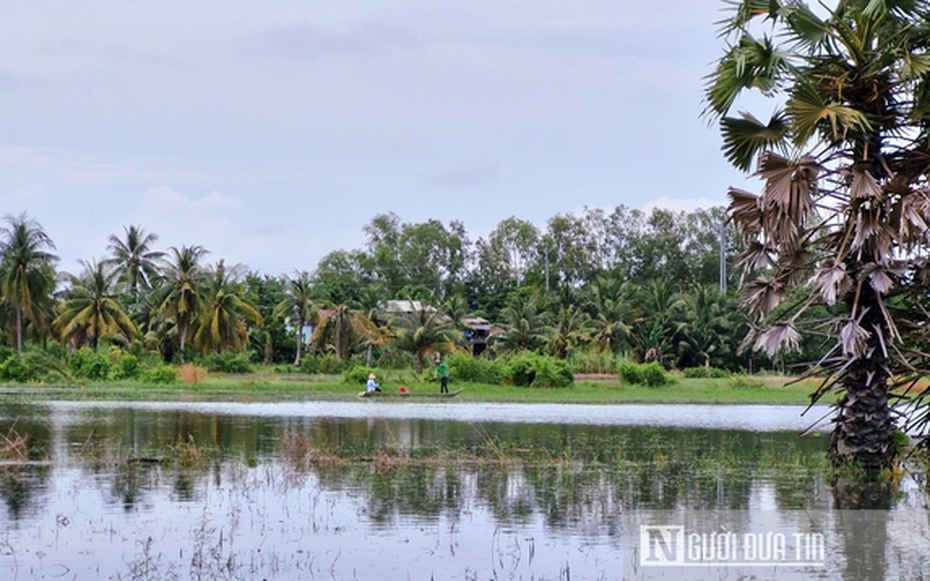 Niềm vui mùa nước nổi ở An Giang