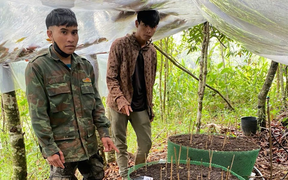 Kon Tum: Lắp 2 trạm phát sóng giúp đồng bào Xơ Đăng lắp camera bảo vệ vườn sâm Ngọc Linh