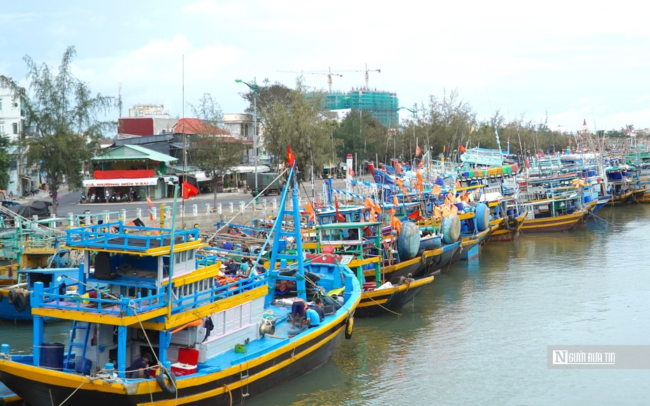 Bình Thuận giải quyết dứt điểm tàu cá "3 không", chuẩn bị đón đoàn thanh tra EU