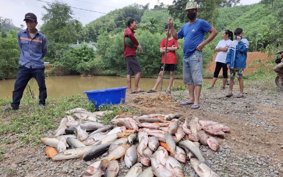 Bắt đối tượng đổ thuốc trừ sâu vào ao nhà hàng xóm để trả thù