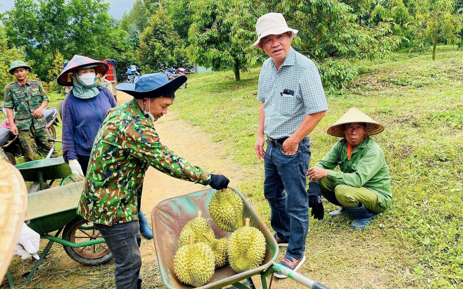 Bầu Đức mời cổ đông "mục sở thị" chuối và sầu riêng