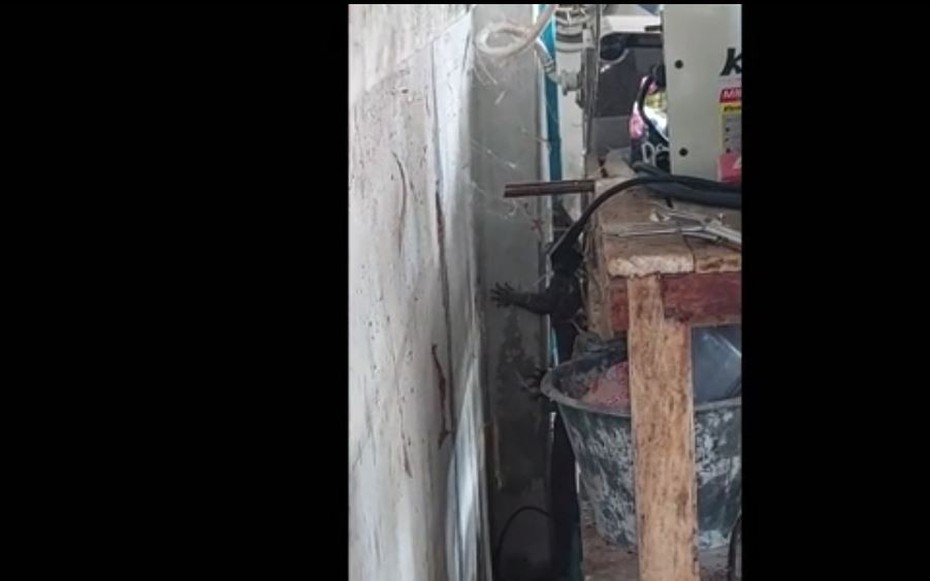 Vào bếp, chủ nhà tái mặt khi phát hiện 