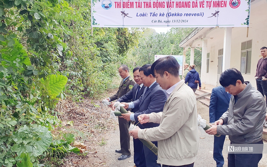 Vườn quốc gia Cát Bà thí điểm tái thả động vật hoang dã về tự nhiên