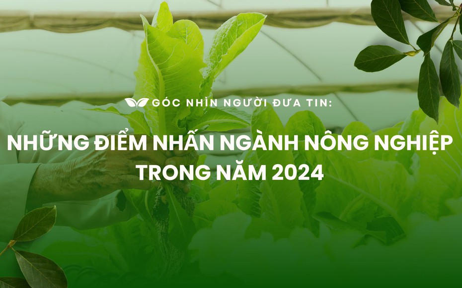 Góc nhìn Người Đưa Tin: Những điểm nhấn ngành nông nghiệp trong năm 2024