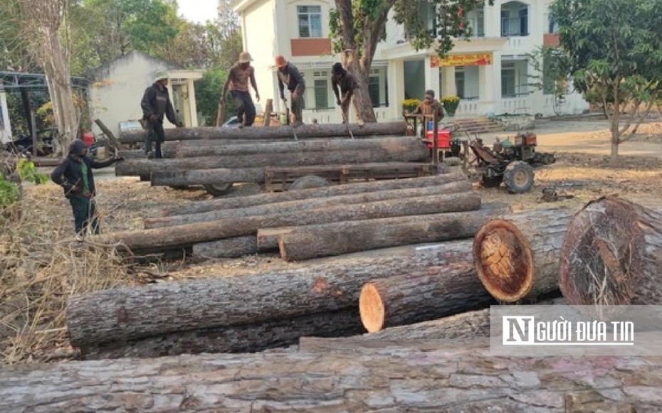 Gia Lai: Kiểm tra, xác minh vụ phá rừng tại xã biên giới Ia Mơ