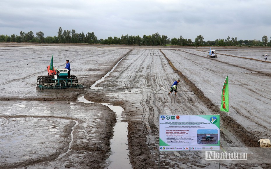 Kiên Giang khởi động Đề án 1 triệu ha chuyên canh lúa chất lượng cao