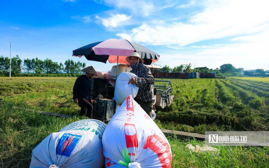 Xuất siêu nông lâm thủy sản tăng 60% sau 7 tháng đầu năm