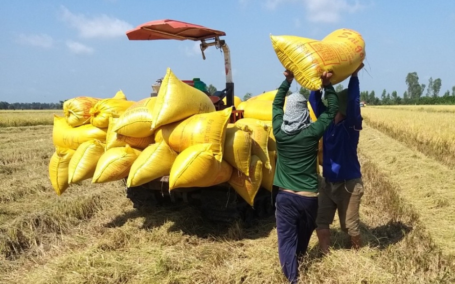 ĐBSCL thích ứng biến đổi khí hậu trong sản xuất nông nghiệp