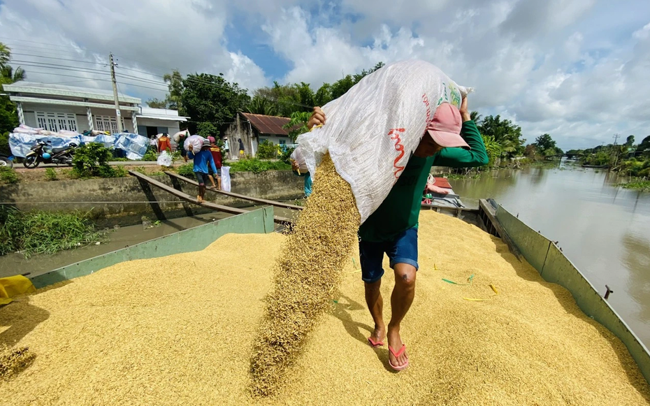 Hẩm hiu doanh nghiệp ngành gạo