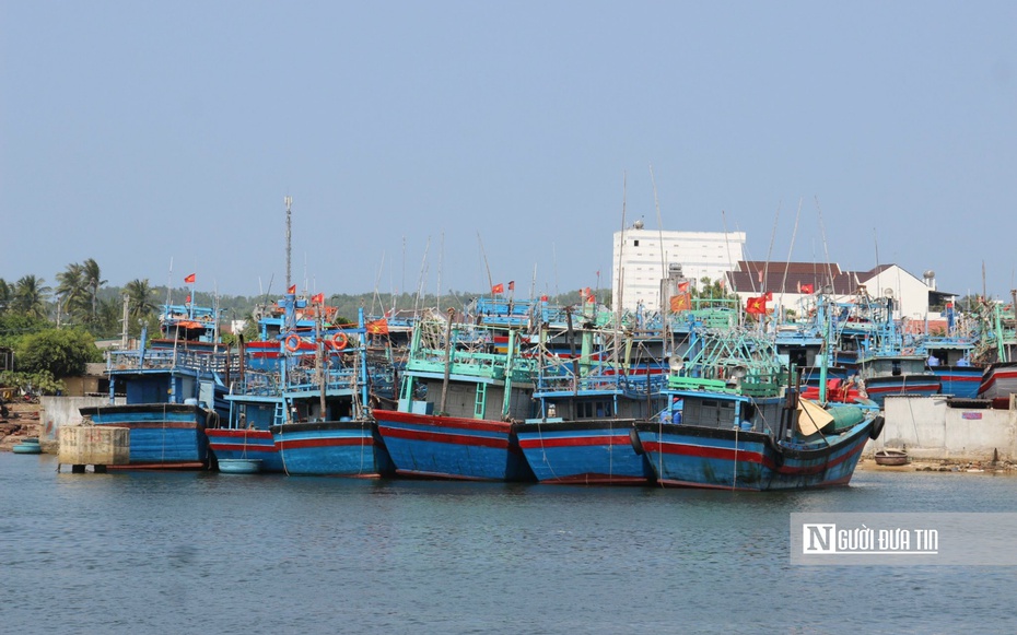 Bình Định:Trong 48 giờ tới không còn tàu cá nằm trong vùng ảnh hưởng của áp thấp nhiệt đới