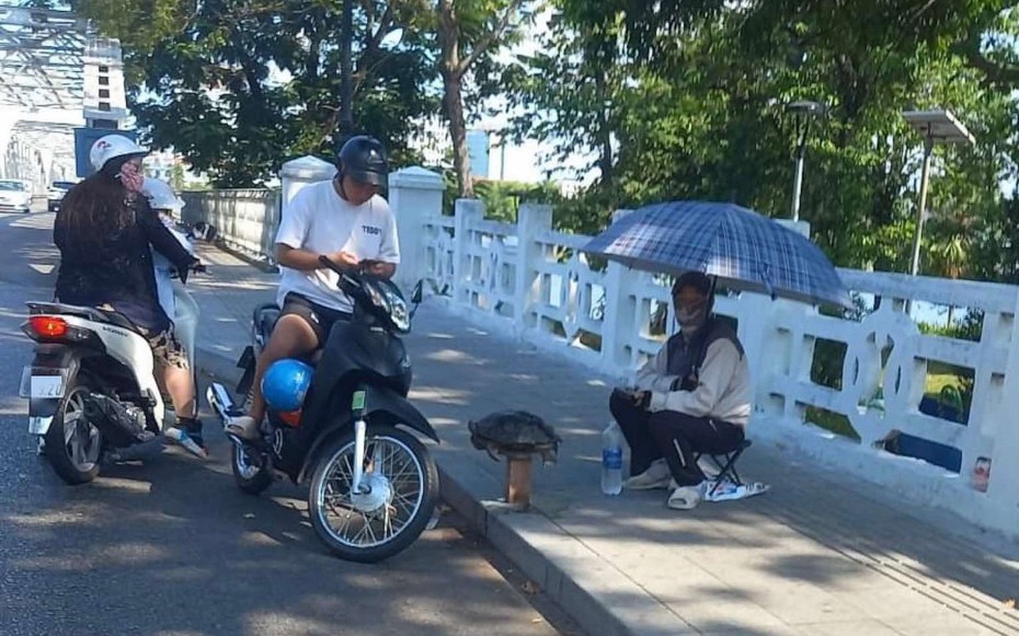 Làm rõ nam thanh niên bịt mặt ngồi trên lề đường để bán con rùa